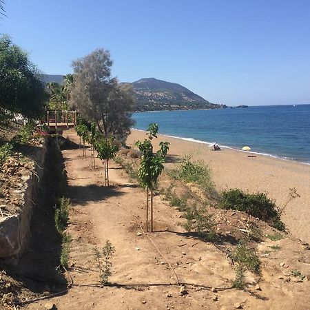 Villa Pergia Latchi Полис Экстерьер фото